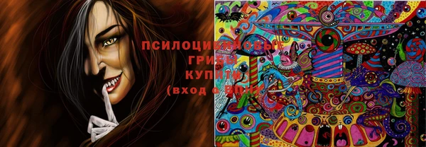 mix Абаза