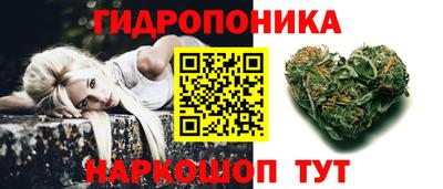 индика Абакан